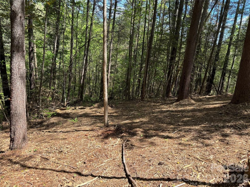 1665 Round Mountain Pw #69, Lenoir, NC 28645