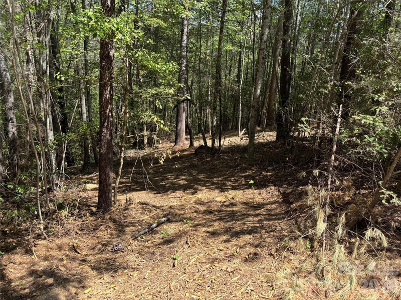 1665 Round Mountain Pw #69, Lenoir, NC 28645