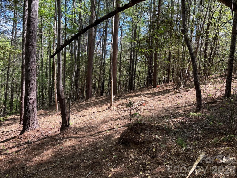 1665 Round Mountain Pw #69, Lenoir, NC 28645