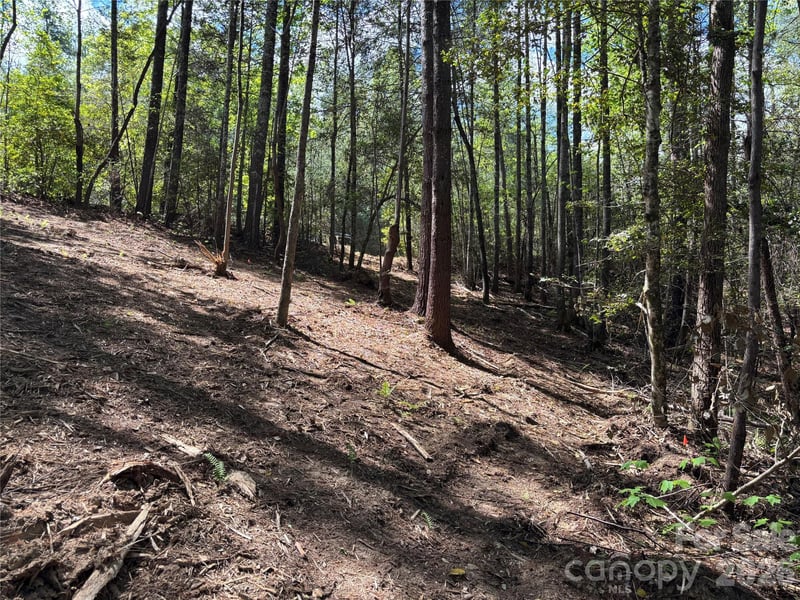 1665 Round Mountain Pw #69, Lenoir, NC 28645