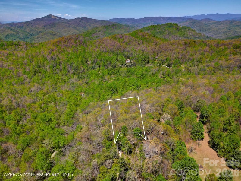 99999 Laurel Dr, Black Mountain, NC 28711