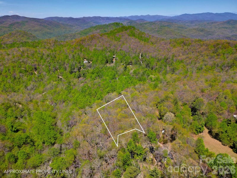99999 Laurel Dr, Black Mountain, NC 28711