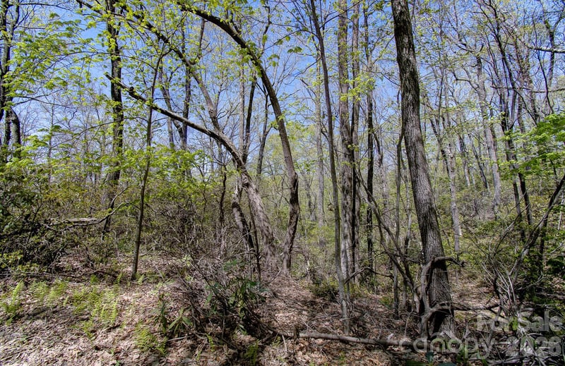 99999 Laurel Dr, Black Mountain, NC 28711