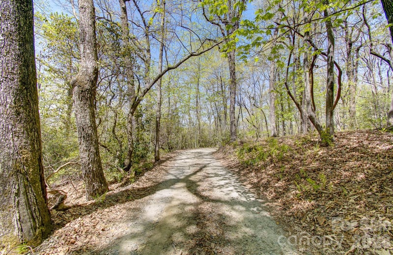 99999 Laurel Dr, Black Mountain, NC 28711