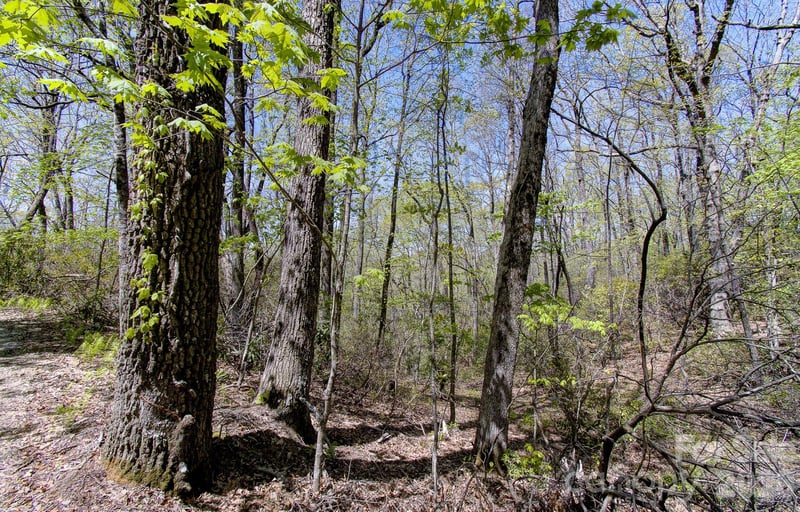 99999 Laurel Dr, Black Mountain, NC 28711
