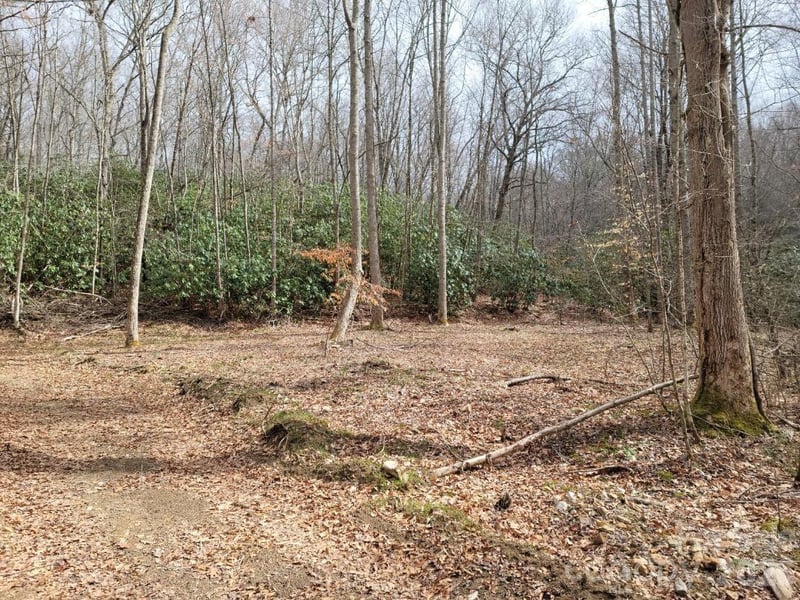 334 Omc Dr, Burnsville, NC 28714