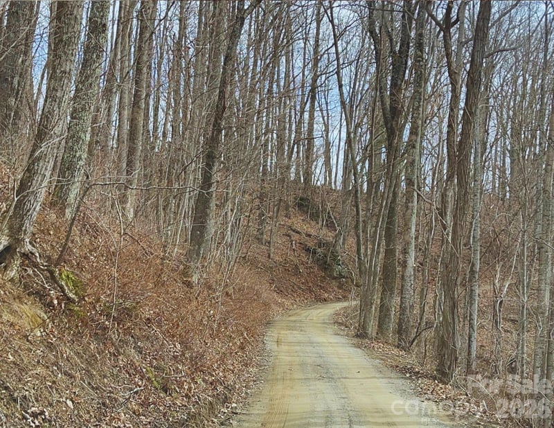 130 Gavin Glenn Rd, Weaverville, NC 28787