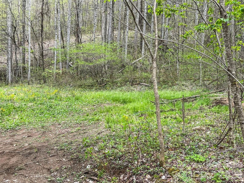 130 Gavin Glenn Rd, Weaverville, NC 28787