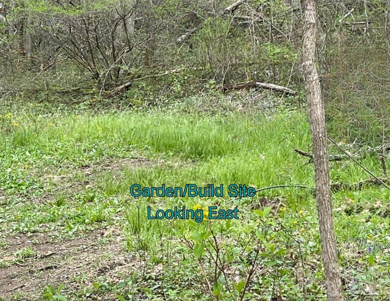 130 Gavin Glenn Rd, Weaverville, NC 28787