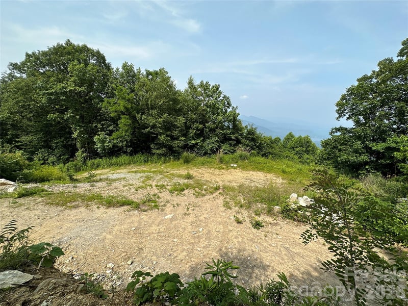 1170 Gabe Laugher Rd, Hendersonville, NC 28792