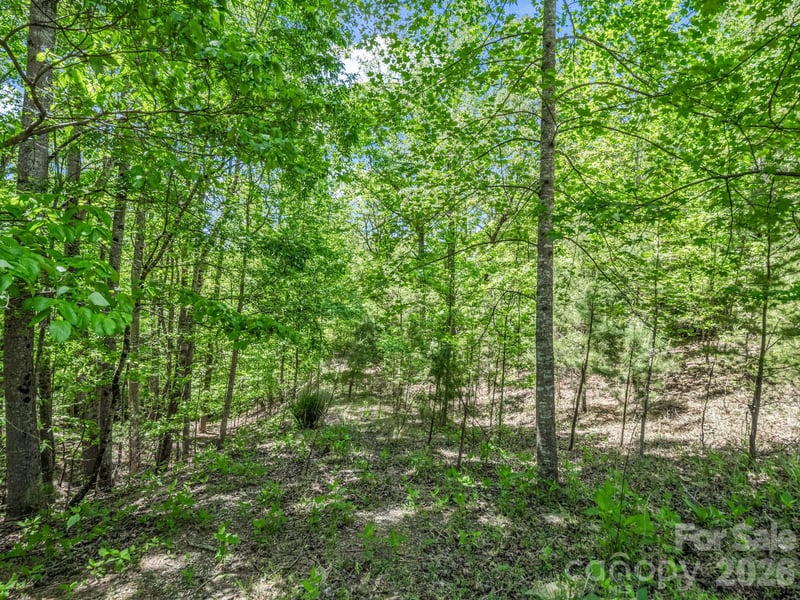 206 Westmoreland Trl #8, Tryon, NC 28782
