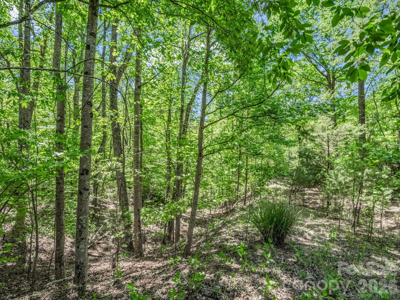 206 Westmoreland Trl #8, Tryon, NC 28782
