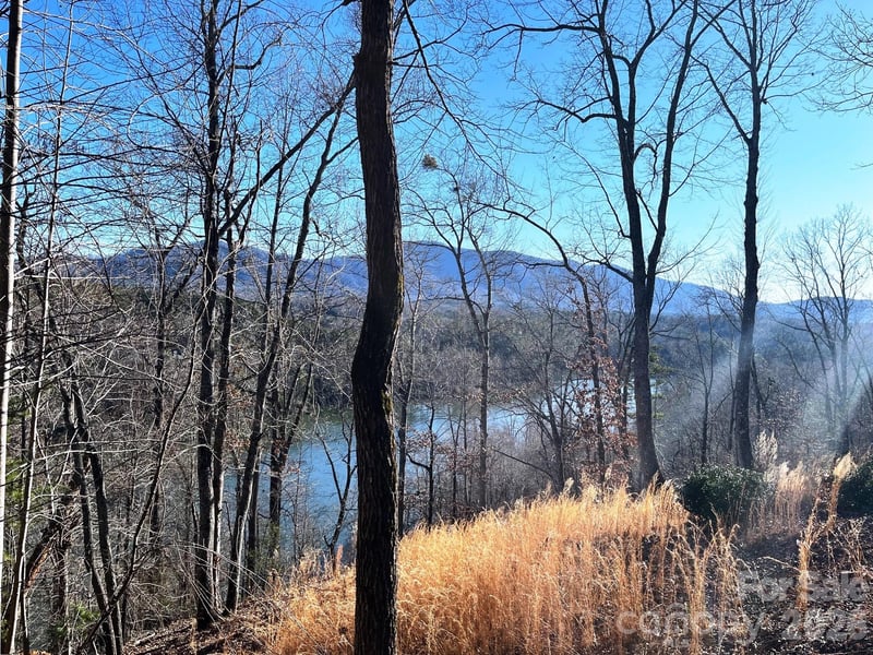 Lot 30 Mountain Pw, Mill Spring, NC 28756