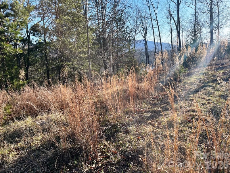 Lot 30 Mountain Pw, Mill Spring, NC 28756