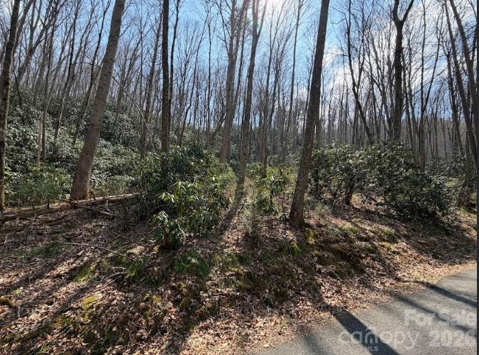 TBD Coyote Hollow Rd #66, Waynesville, NC 28785