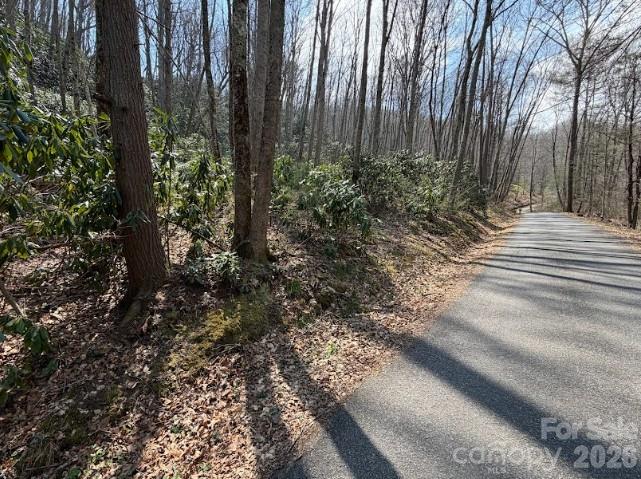 TBD Coyote Hollow Rd #66, Waynesville, NC 28785