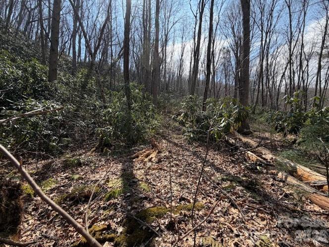 TBD Coyote Hollow Rd #66, Waynesville, NC 28785