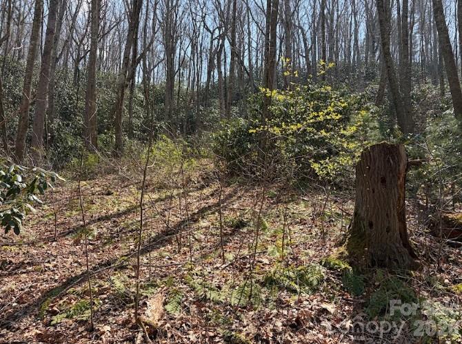 TBD Coyote Hollow Rd #66, Waynesville, NC 28785
