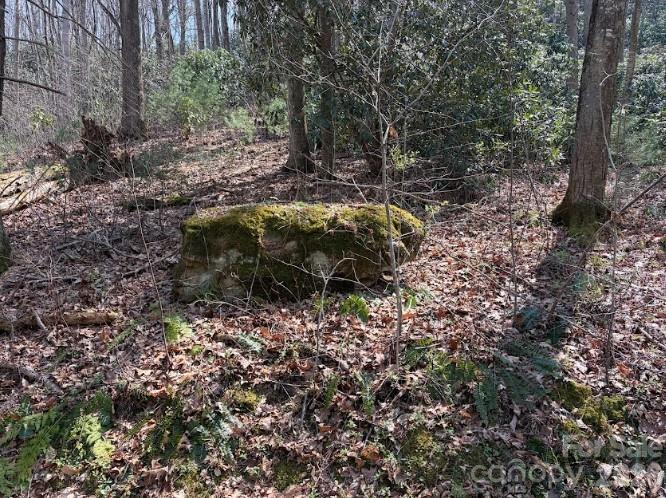 TBD Coyote Hollow Rd #66, Waynesville, NC 28785