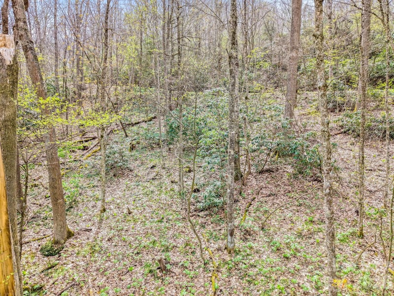 00 Bear Hollow Rd #40, Waynesville, NC 28785