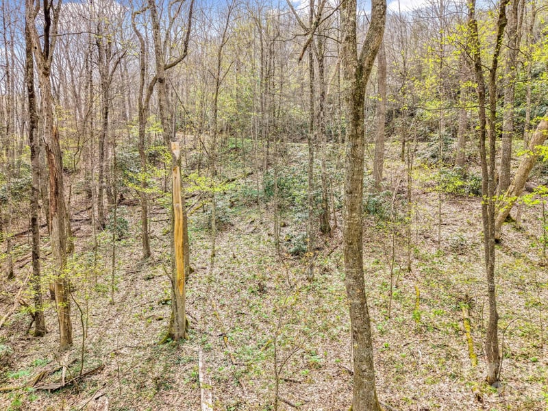 00 Bear Hollow Rd #40, Waynesville, NC 28785