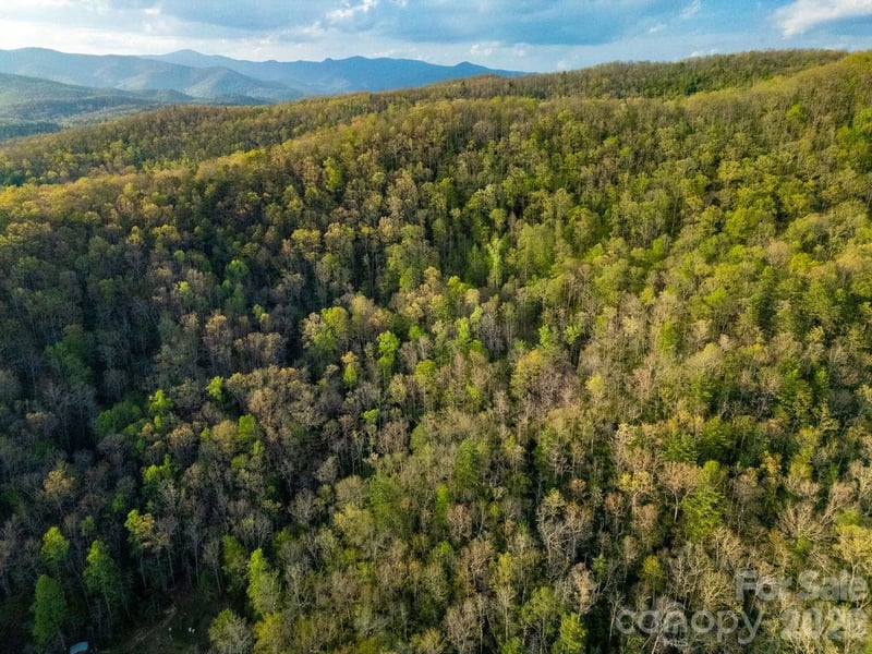 Off Diamond Creek Rd, Lake Toxaway, NC 28747