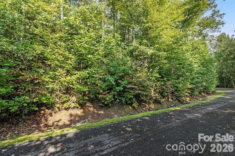 TBD Barts Branch Dr #13, Balsam Grove, NC 28708