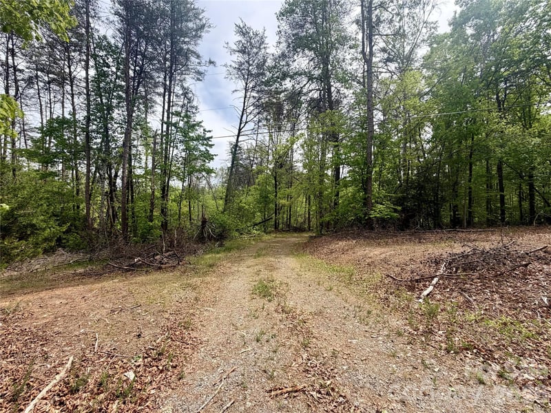 Polk County Line Rd, Rutherfordton, NC 28139