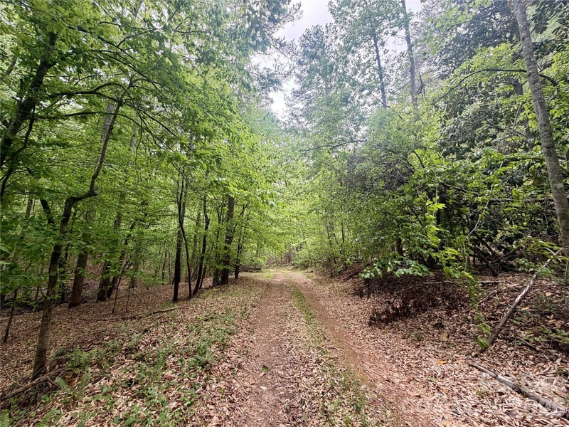 Polk County Line Rd, Rutherfordton, NC 28139