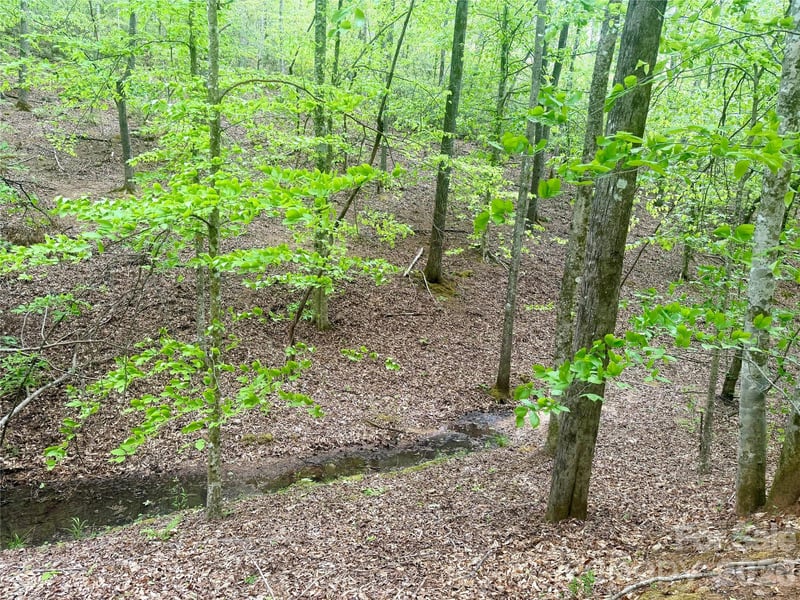 Polk County Line Rd, Rutherfordton, NC 28139