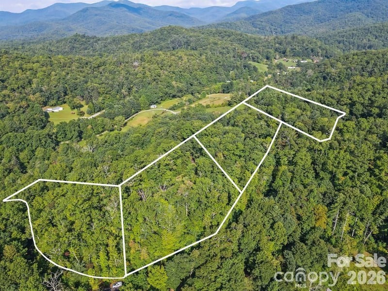 TBD Barts Branch Dr #16, Balsam Grove, NC 28708