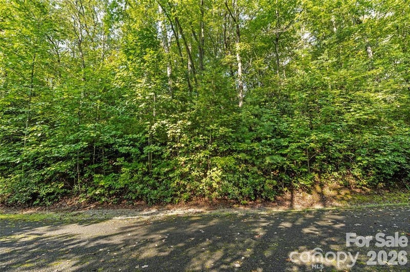 TBD Barts Branch Dr #16, Balsam Grove, NC 28708