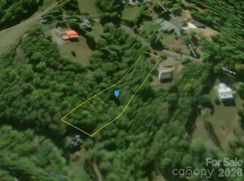 41 Knoll Ln, Warne, NC 28909