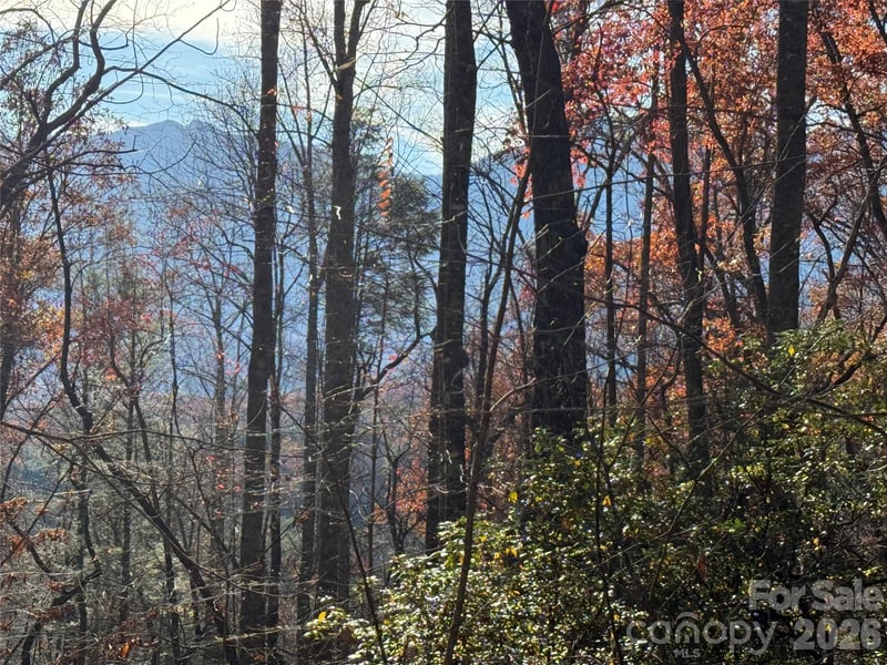 0000 Halls Chapel Rd, Burnsville, NC 28714