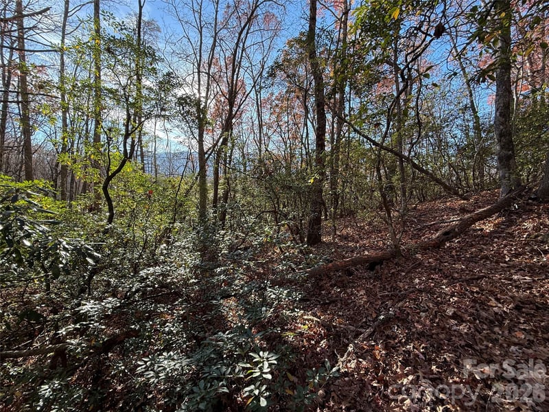 0000 Halls Chapel Rd, Burnsville, NC 28714