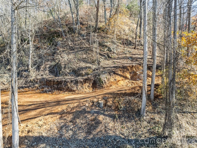 Tract 3: Lot 4 White Birch Dr, Sylva, NC 28779