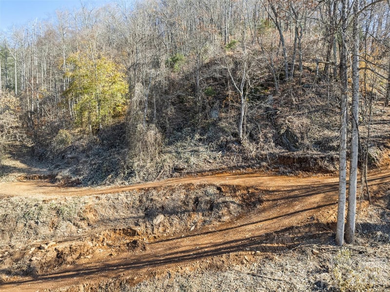Tract 3: Lot 4 White Birch Dr, Sylva, NC 28779