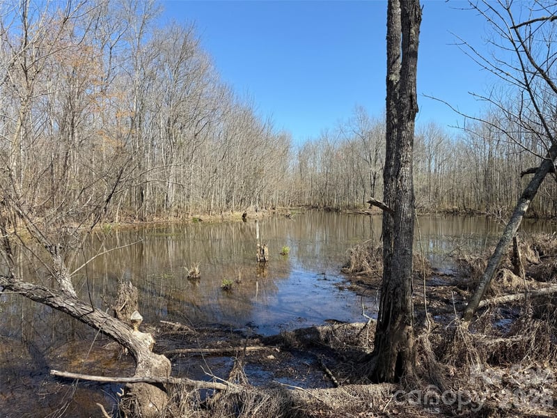 TBD Horne Town Rd, Polkton, NC 28135