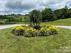 4642 Bearwallow Mountain Rd #115, Hendersonville, NC 28792