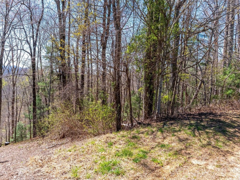 000 Glen Echo Cir, Saluda, NC 28773