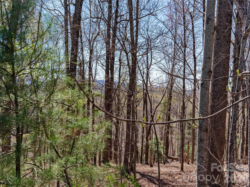 000 Glen Echo Cir, Saluda, NC 28773