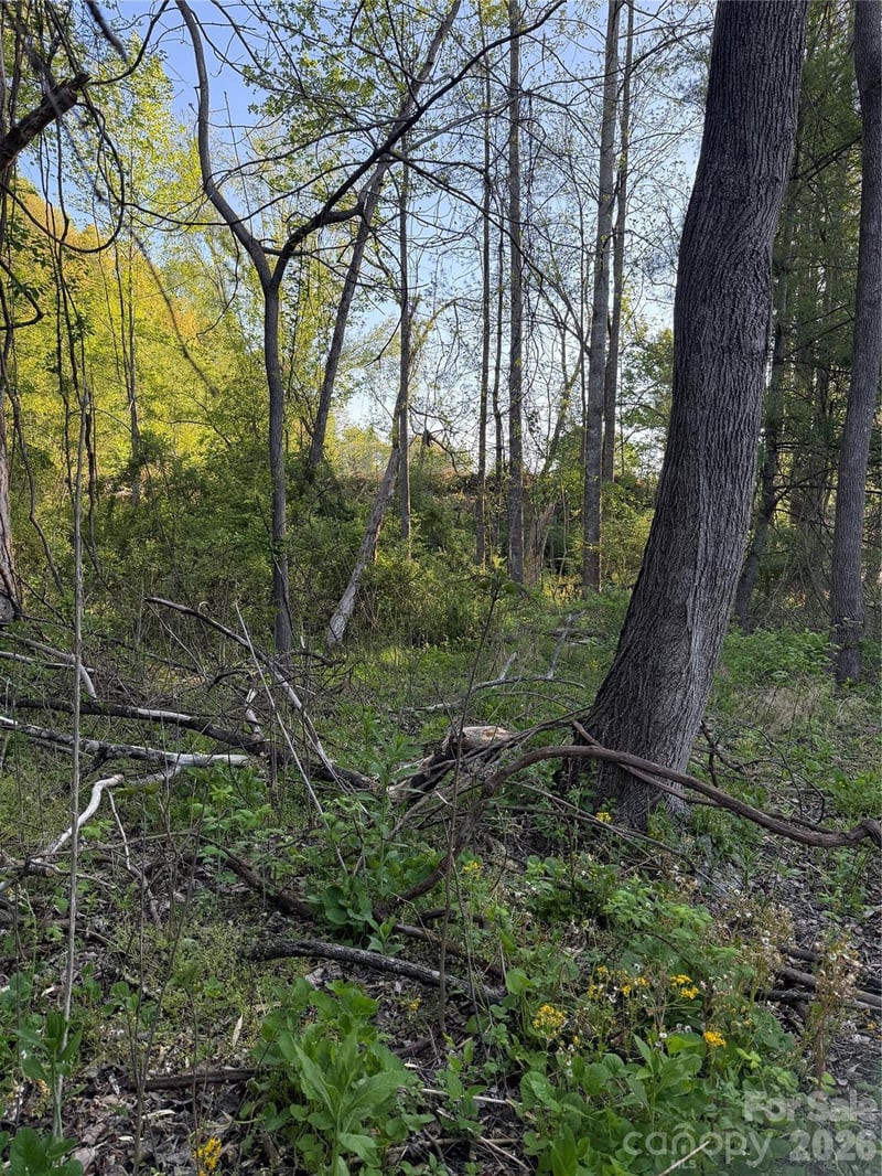 00 Cashiers Valley Rd #Tract 2, Brevard, NC 28712