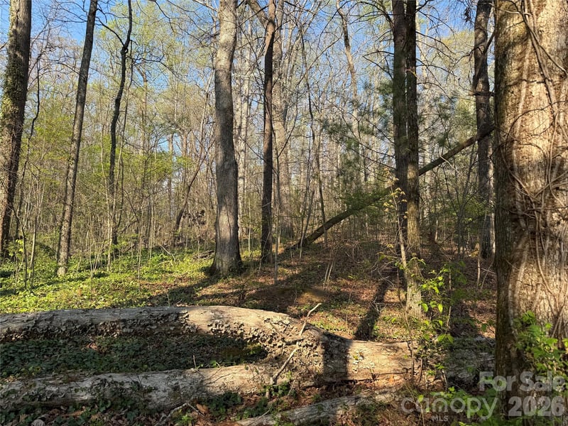 000 Woodlyn Etch Dr, Hendersonville, NC 28792