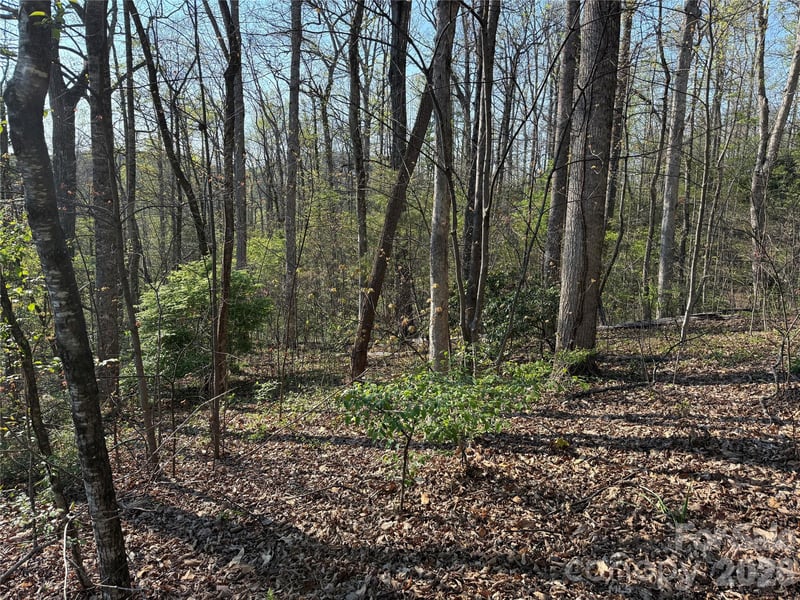 000 Woodlyn Etch Dr, Hendersonville, NC 28792