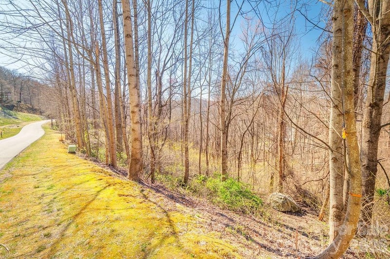 461 Somersby Pw, Hendersonville, NC 28739