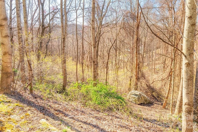 461 Somersby Pw, Hendersonville, NC 28739