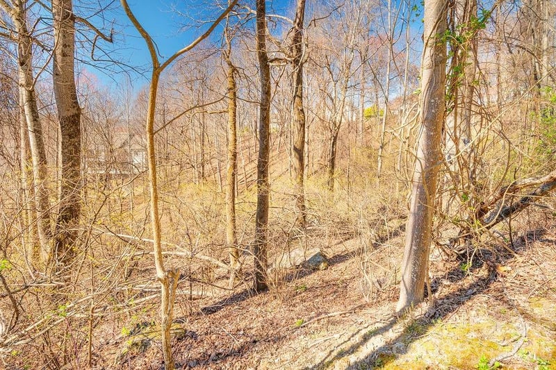 461 Somersby Pw, Hendersonville, NC 28739
