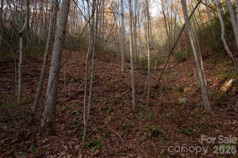 TBD Rector Branch Rd #4, Marshall, NC 28743
