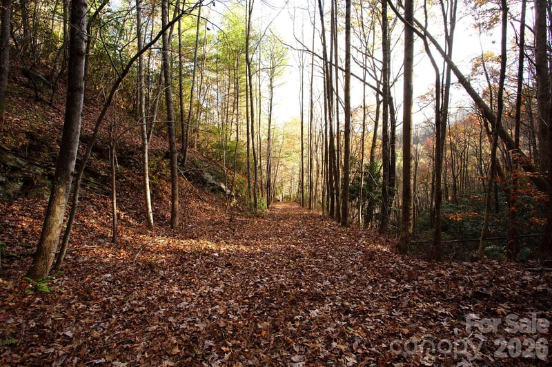 TBD Rector Branch Rd #4, Marshall, NC 28743