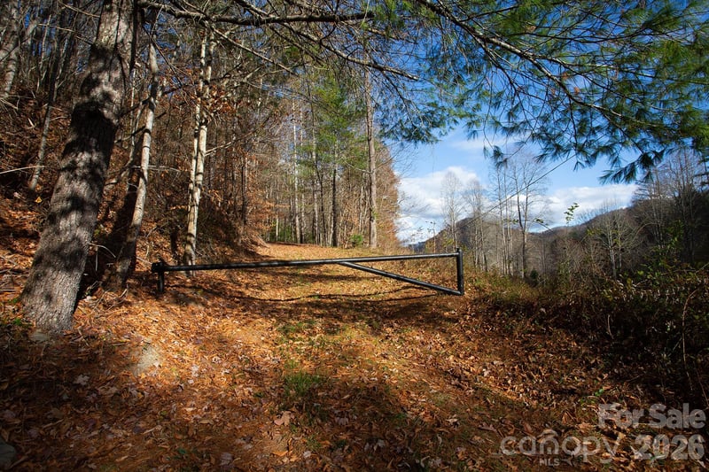 TBD Rector Branch Rd #4, Marshall, NC 28743